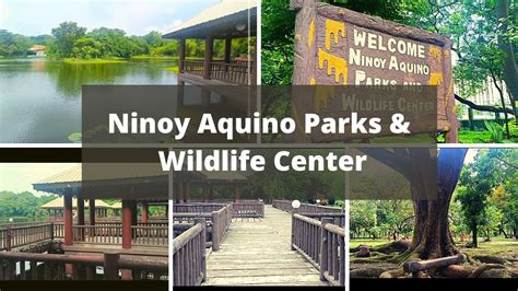  Ninoy Aquino Parks and Wildlife Center: Enchanting Oasis of Biodiversity in Quezon City!