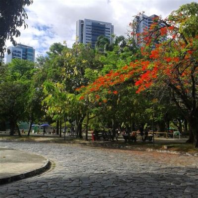  Parque da Cidade: Ett grönt himmelrike i Recife!