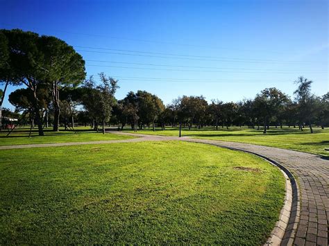 Parque del Alamillo! En grönskande oas i hjärtat av Sevilla!